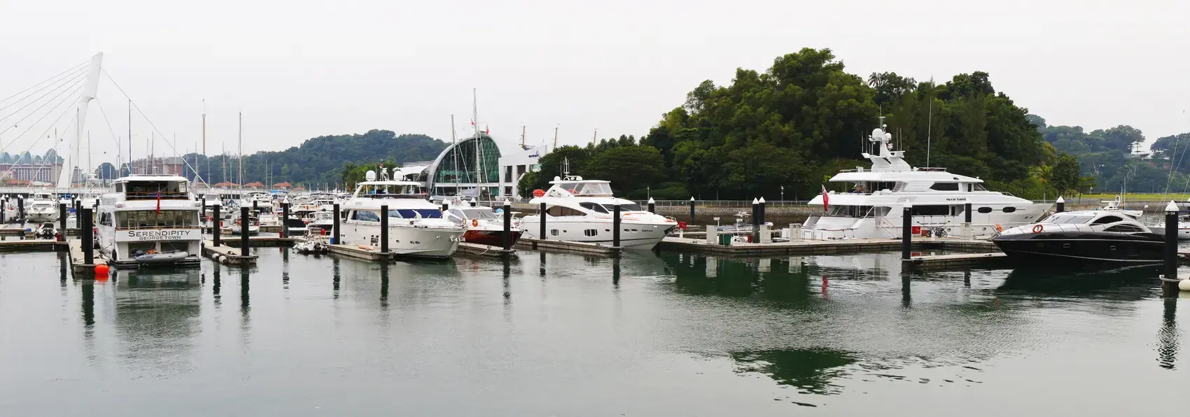 Yachts moored at a marina in Singapore